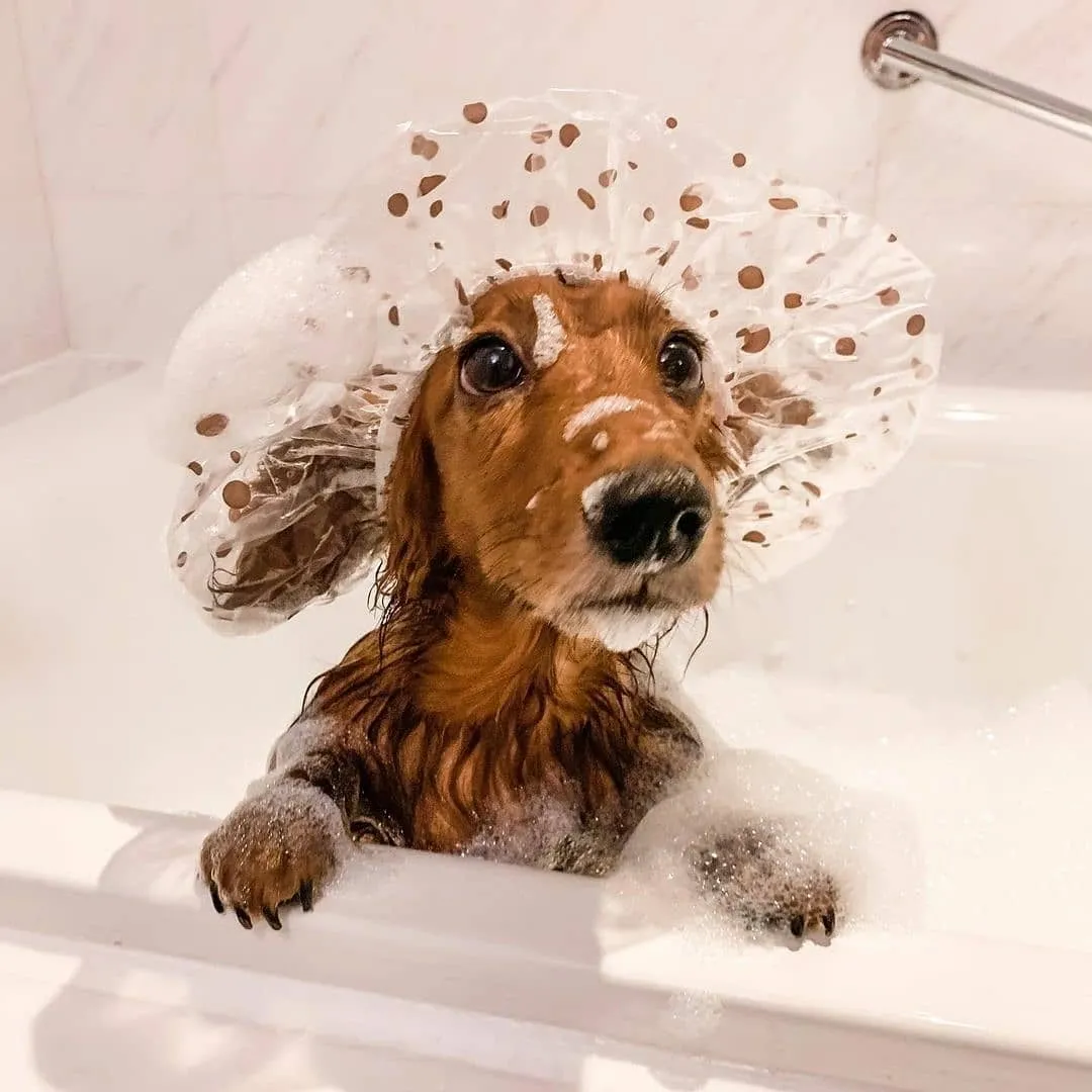 Eenvoudig een afspraak maken