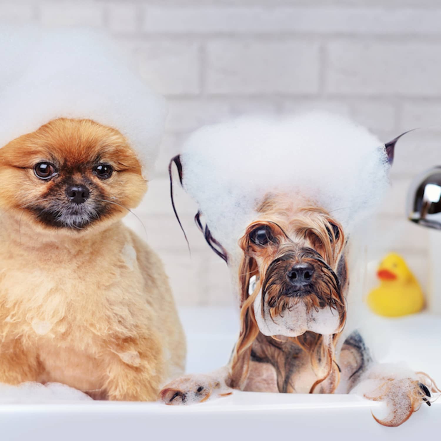 Kwaliteit en tevredenheid